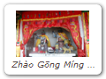 Zhào Gōng Míng 趙公明, a local folk deity, located near the Zhìzhě Pagoda
(Zhìzhě ròushēntǎ 智者肉身塔). God of Money, God of Health. In art, depicted
with official's cap, iron club, black face, and riding a tiger. Able to control thunder,
lightning, clouds and rain. His key functions are to dispel pestilence, to ward off
natural disasters, and to rectify unjust verdicts. Red-faced deity is unidentified.