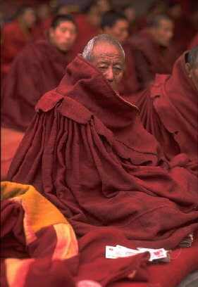 Tibetan Monk