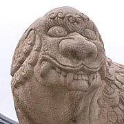 Lion (Korea)