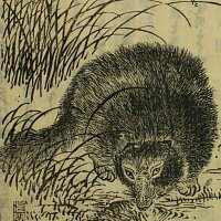 Kyokutei Bakin-tanuki