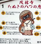 Tanuki's Eight Good Omens