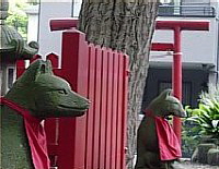 Foxes outside Tsurugaoka Hachiman in Kamakura