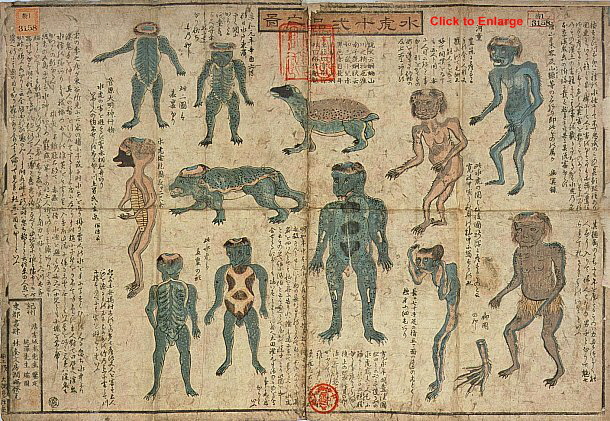 Kappa illustrations from the Suiko Junihin no zu, late Edo period. Kappa illustrations from the Suiko Junihin no zu, late Edo period.