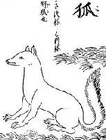 kitsune-fox-komouzui-master-1666-Kinmozui-TN