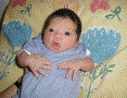 olivia amitay