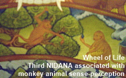Monkey in Third Nidana of Tibetan Wheel of Life