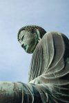 Great Buddha of Kamakura (Kamakura Daibutsu)