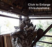 Shamoji (rice spoons) at Chikubushima, 21st century.