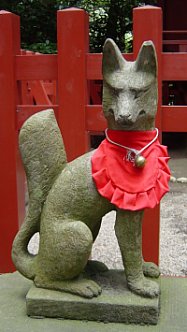 fox-red-bib-tsurugaoka-hachimangu-kamakura.jpg