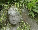 Buddhas of Kamakura Buddhas of Kamakura