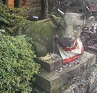 Nandi (Sanskrit); 