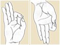 Raigo-in (Vitarka) Mudra - The Reasoning and Teaching Mudra