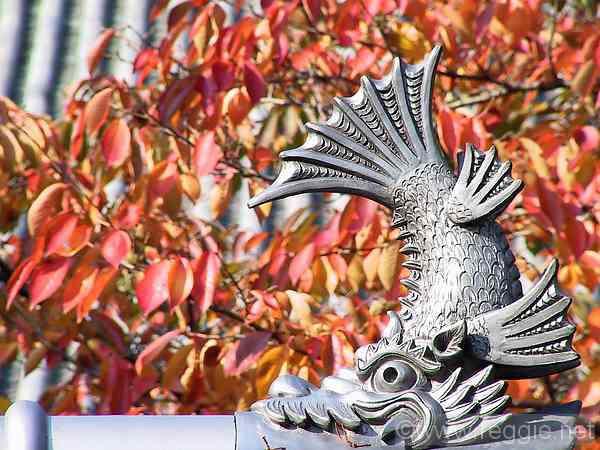 Shachihoko at Tokuyu-ji Temple, Naramachi, Nara (Japan)