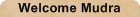 title bar title bar