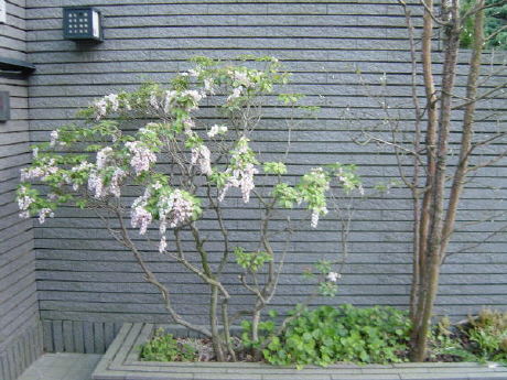 Unknown Name