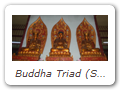 Buddha Triad (Sānzūn 三尊) in the Hall to Five Hundred Luóhàn 五百羅漢 at Guóqing Temple 国清寺. Śākya-Tathāgata 釋迦如來 at center flanked by Mañjuśrī 文殊 and Samantabhadra 普賢.