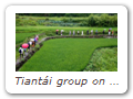 Tiantái group on excursion near the Zhìzhě Pagoda (Zhìzhě Ròushēntǎ 智者肉身塔). Photo by Guttorm.