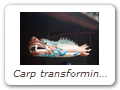 Carp transforming into Dragon. Wood. Made for striking temple bell. See fully annoted slideshowfor story about carp becoming dragon. At Zhìzhě Pagoda (Zhìzhě Ròushēntǎ 智者肉身塔).
