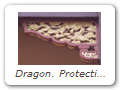 Dragon. Protective dragon motif on temple architecture. Guóqingsì Temple 国清寺.
