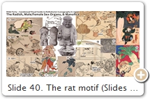 Slide 40. The rat motif (Slides 38, 39) and radish symbolism unequivocally associate Daikokuten with Gaṇeśa (Slide 14). The fat, elephant-headed Gaṇeśa (Śiva’s son) was long ago linked to rats & radishes. Not so Daikokuten (Japan’s "tamed" form of Śiva). Based on extant art, Daikokuten's link to rats/radishes rose to popularity in the 18th C. Perhaps wordplay was involved — daikon 大根 (radish) is phonetically akin to Daikoku. But the link could have happened without wordplay, for the two deities share many other attributes (e.g., both grant wishes of a monetary or sexual nature). SEE NOTEBOOK (PDF). SOURCES (last access Sept. 2017): (1) Daikokuten carrying forked radish (i.e., naked woman). Katsushika Hokuga 葛飾北雅 (a. 1804–1844), MFA. Offering forked radishes to Daikokuten, writes Chaudhuri, began in the Muromachi (1392-1573). Extant art suggests a later date. (2) Daikokuten & rats pulling radish-shaped portable shrine, Kawanabe Kyōsai 河鍋暁斎 (1831-1889), Freer/Sackler. (3) Okumura Masanobu 奥村政信 (1686–1764) MFA. (4) By late 16th C., Daikokuten was shown with the manofica hand gesture, a symbol of the female organ (as is the forked radish). Such images don’t hold a mallet or stand atop rice bales. Rather, manofica fist replaces mallet; lotus replaces bales.(5) Hirata Kōmyō-ji 下羽田光明寺, Shiga. See History of Phallicism in Japan 日本性神史 (1961), Nishioka Hideo 西岡秀雄 (1913-2011). (6) Ibid. Backside depicts the male organ. Prostitutes kept such idols. Daikokuten is sometimes depicted solely as a phallus. (7) Bliss Deva & radish (see Slide 14). Asabashō 阿娑縛抄, TZ.9.3190.83 (op. 0616-0617), Eizan Bunko, 叡山文庫, Shiga. See Slide 14 for more on this deity. (8) Utagawa Hiroshige 歌川広重 (1797–1858), MFA. (9) Offering of forked radish, Morino Sōgyoku 森野宗玉 (a. 1764–1772), MFA. (10) Real radish. (11) Asakusa Shrine 浅草神社, Tokyo. Intertwined radishes often adorn Gaṇeśa [Slide 14] shrines. Pix here. (12) Okumura Masanobu 奥村政信 (1686–1764), MFA. (13) Kunisada II 歌川国定 (1823–1880), TML. Spoof on Tale of Otoshime 乙しめ. (14) Toyohara Kunichika 豊原国周 (1835–1900), Soga Brothers.   