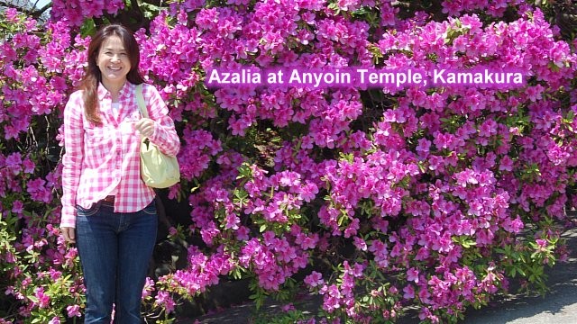 2-azalia-2013