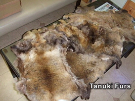 tanuki furs