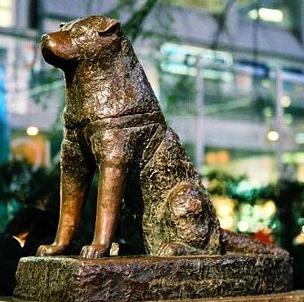 The Dog Hachiko (outside Shibuya Station, Tokyo, Japan)