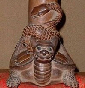 Turtle entwined with snake; photo courtesy of www.rarebooksinjapan.com