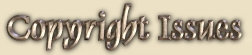 Copyright Issues Copyright Issues