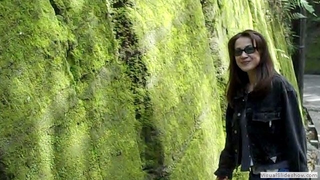 5. Keiko next to moss-covered stone in Kamakura