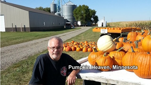 Pumpkin Heaven Minnesota