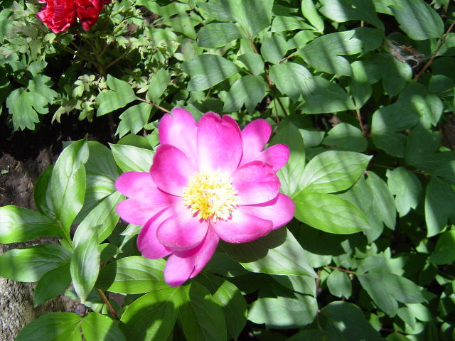 Dsc01839