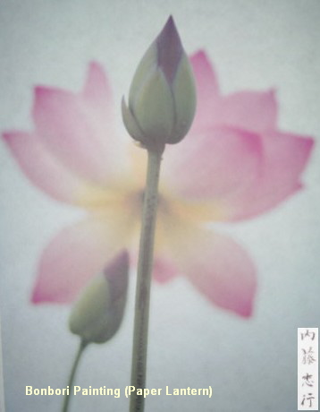 Lotus Painting -- Bonbori (Paper Lantern)
