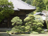 Landscape Engakuji Temple