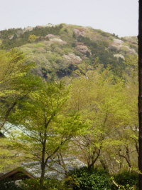 Scene near Tokeiji Temple