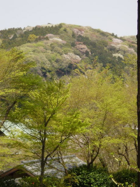 Scene near Tokeiji Temple