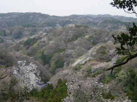 Vista around Kamakura