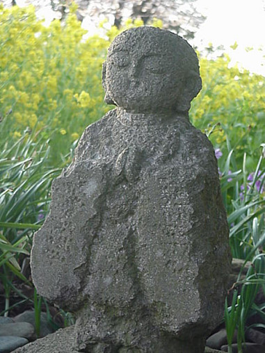 Nanohana and Jizo, April, Kamakura