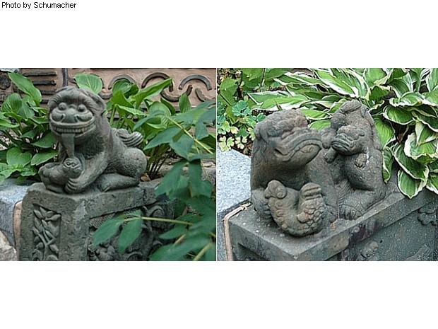 Stone lion effigies at the Asian Art Museum in Seoul, Korea.
