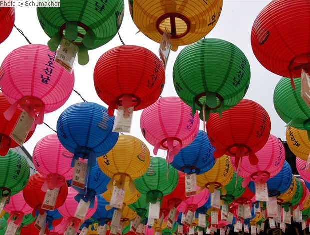 Decorative votive lanterns at Dongguk University. They were installed for the celebration of the Buddha's birthday in late May, but left hanging well into late June.