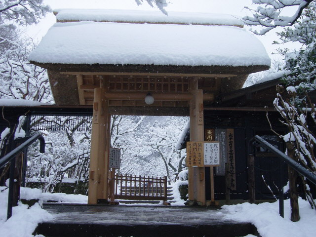 Entrance Gate